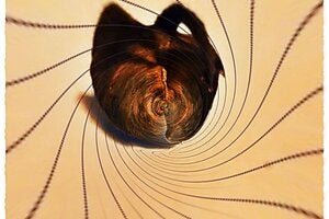 Artwork entitled "This Leaf" by Leslie Brown