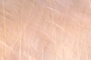 Abstract Nature Motion of Reeds in the Wind