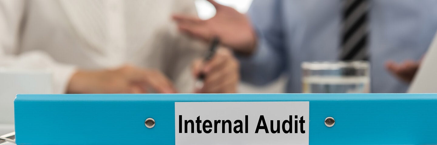 binder with text that reads internal audit
