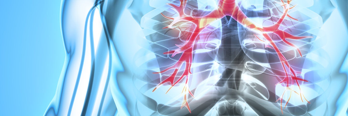 introduction-to-human-physiology-physcixl3
