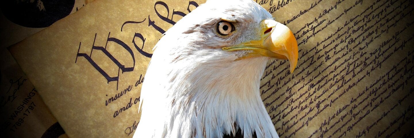 The head of a bald eagle with the declaration of independence in the background.