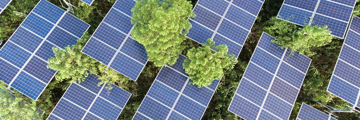 Aerial View Of Solar Panels On Trees