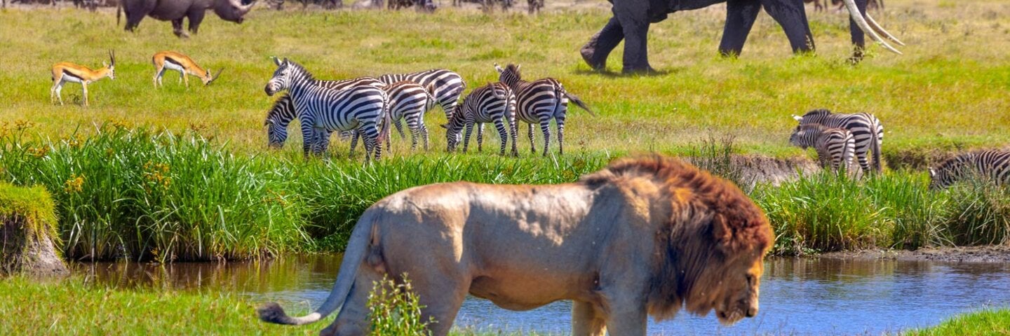 biodiversity-changing-world